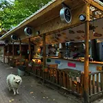 Campsite Karaaslan Kamping Tesisleri