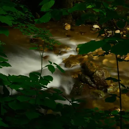 Karaaslan Kamping Tesisleri Camping *