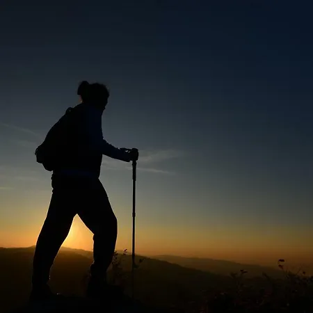 Karaaslan Kamping Tesisleri Kazandere