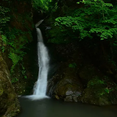 Karaaslan Kamping Tesisleri Kazandere