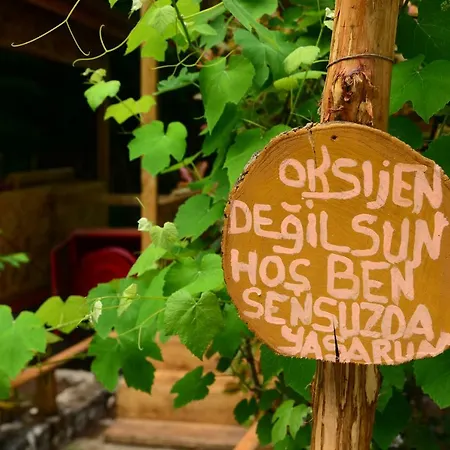 Karaaslan Kamping Tesisleri Camping *